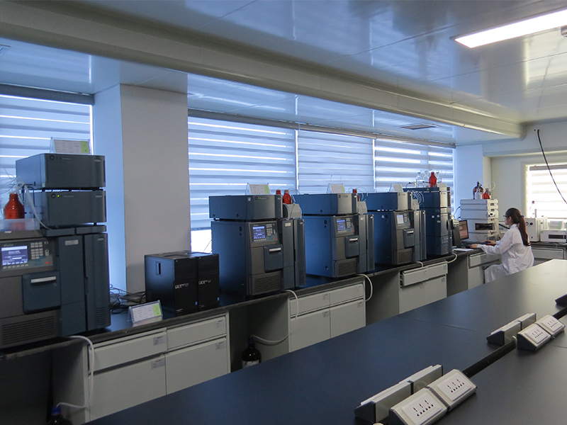 公司多索茶堿片闖關(guān)成功